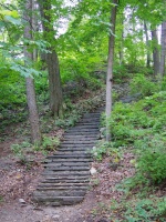 And back up the steps IMG 3807